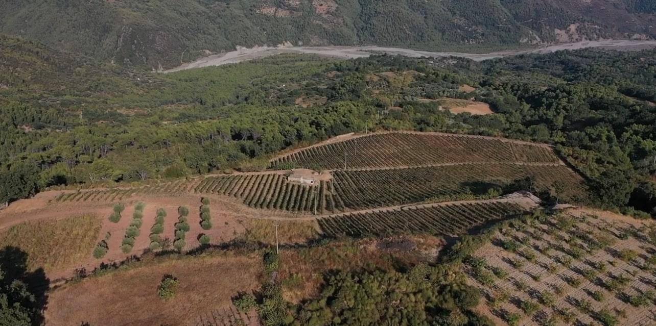 Società Agricola Stamati 