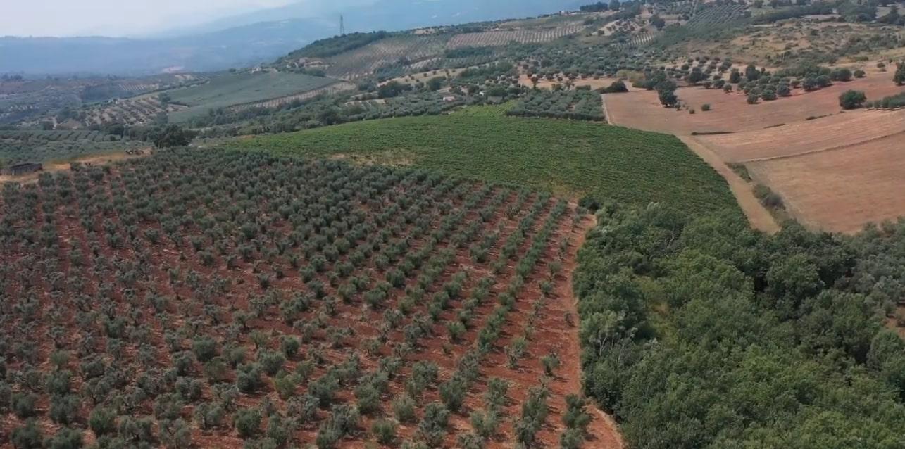 Saracena tradizione e gusto nel Pollino