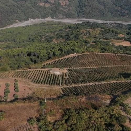 Società Agricola Stamati 
