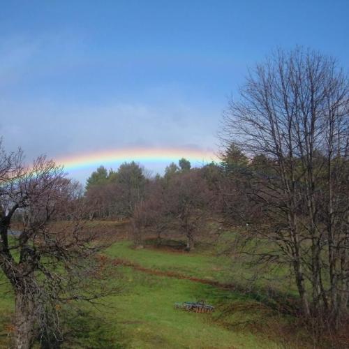 Immagine del punto di interesse: Vacca Vittoria